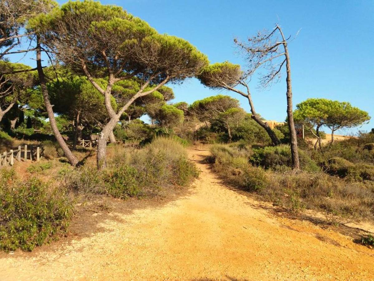 Estrada Da Rocha Baixinha * Albufeira